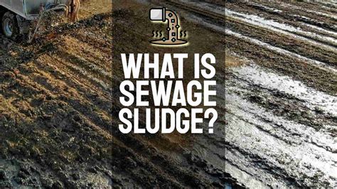 What is Sewage Sludge? Wastewater Treatment Sludge Biosolids