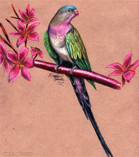 40 Beautiful Bird Drawings and Art works for your inspiration