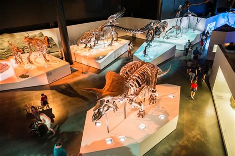 Houston Museum of Natural Science Reviews | U.S. News Travel