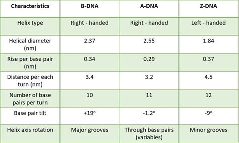 Difference Between Deoxyribonucleic (DNA) and Ribonucleic acid (RNA ...