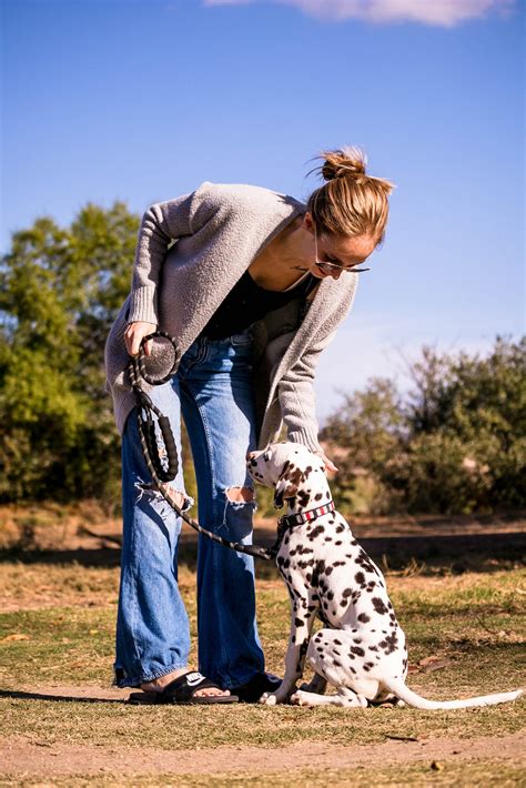 Taylor Made Working Dogs - San Diego Dog Training