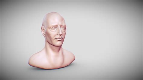 Head Sculpting Practicing - Download Free 3D model by 441670420 ...