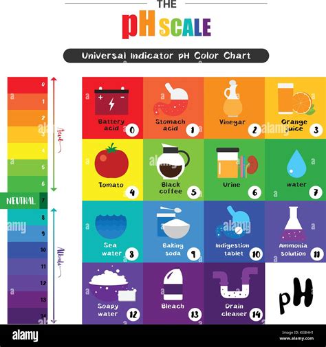 The pH scale Universal Indicator pH Color Chart diagram acidic alkaline ...