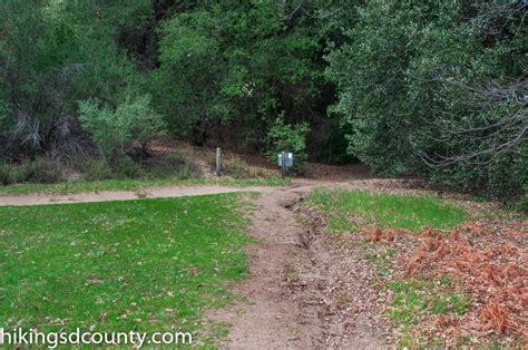 Doane Valley Nature Trail (Palomar Mountain State Park) - Hiking San ...