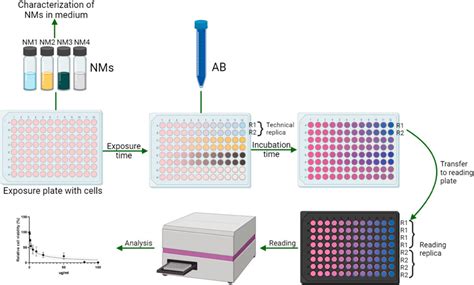 Wst-1 Assay Cell Viability Assay Cell Proliferation Assay, 51% OFF