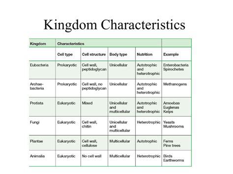 Kingdom Characteristics