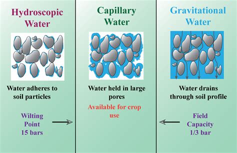 Differentiate between Hygroscopic water and capillary water.