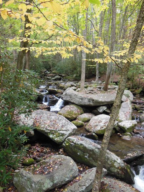 Roaring Fork Motor Nature Trail - See the Smoky Mountains with Kids