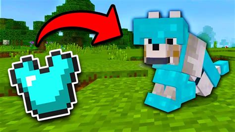 How to get WOLF ARMOR in Minecraft Tutorial! (Pocket Edition, Xbox ...