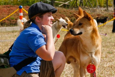 Jindo - Dog Breed Standards