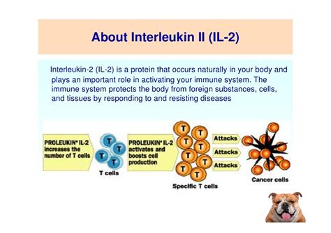 Immunomodulator