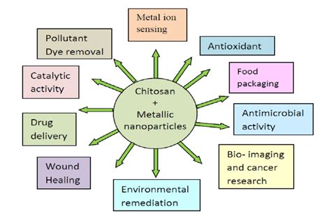 Applications of chitosan based metallic nanoparticle. | Download ...