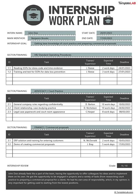 Internship Work Plan Template