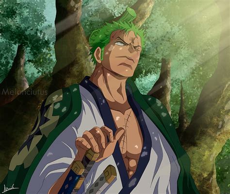 Zorojuro, one piece, wano arc, zoro, HD wallpaper | Peakpx