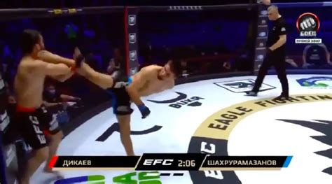 An MMA fighter scored a spinning wheel kick KO so good it looked like a ...