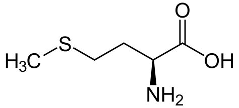 L - methionine |Structure