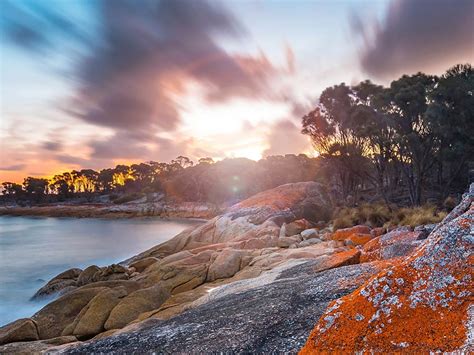 Flinders Island Highlights 5-Day - Self-Guided | Tour | Discover Tasmania