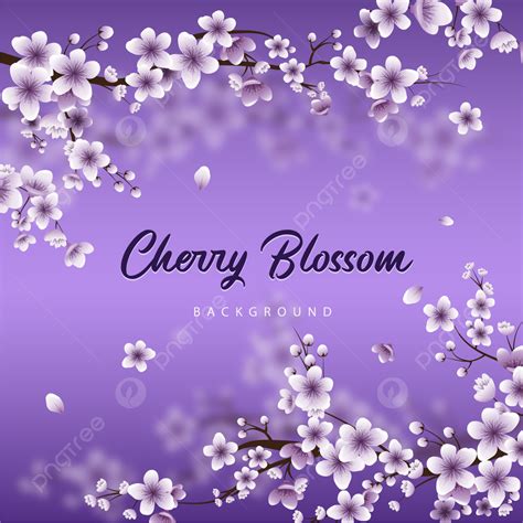 Purple Cherry Blossom Sakura Floral Background, Wallpaper, Purple ...