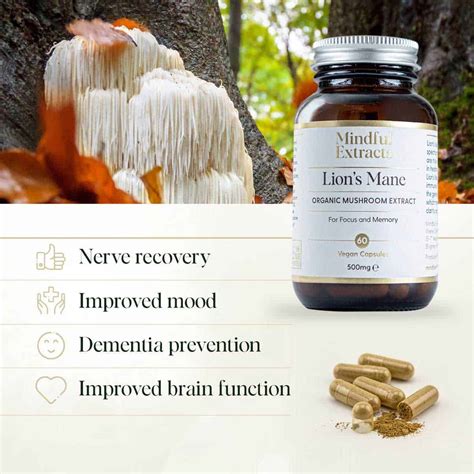 Organic Lion's Mane Capsules | 500 mg Fruiting Body Mushroom Extract