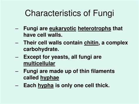 PPT - Kingdom Fungi PowerPoint Presentation, free download - ID:3003677