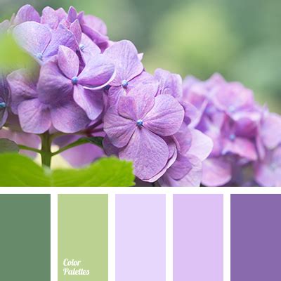 Spring Color Palette Ideas