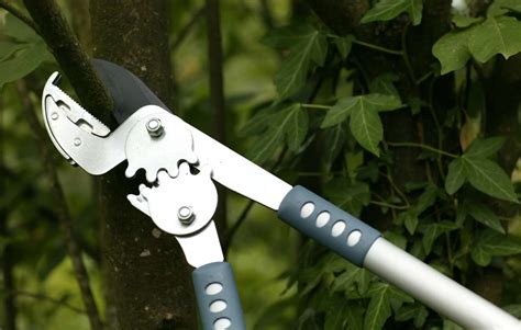 The Best Loppers for Pruning Trees and Shrubs | Leading Lifestyle