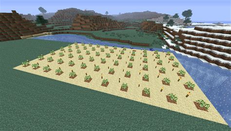 Novament: Minecraft Oak Tree Farm Layout