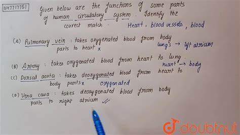 Dorsal aorta – takes deoxygenated blood from heart to body parts