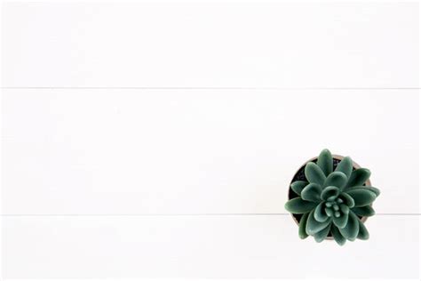 White Desk With Plant Background Images – Browse 112,403 Stock Photos ...