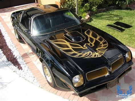 1976 50th Anniversary Pontiac Trans Am Black & Gold | Pontiac Firebird ...