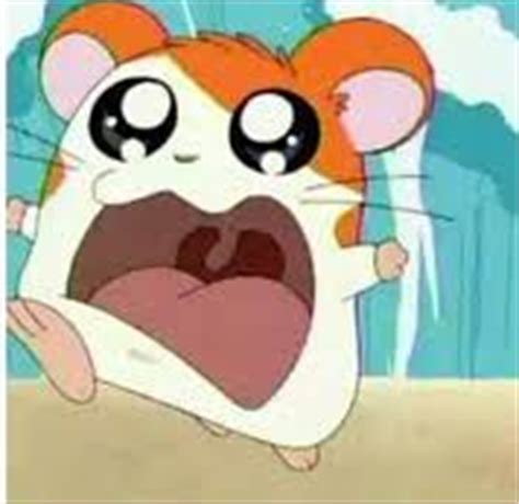 Do You Like The Hamtaro Theme Song? - Hamtaro - Fanpop