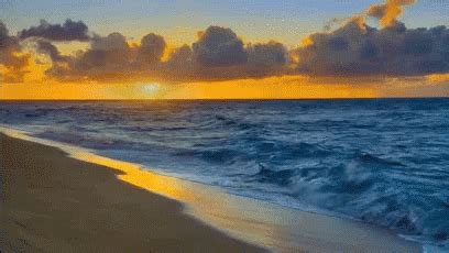 Sunset Beach GIF - Sunset Beach LifesABeach - Discover & Share GIFs ...