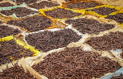 ¿Cómo se cultiva vainilla? | FoodUnfolded