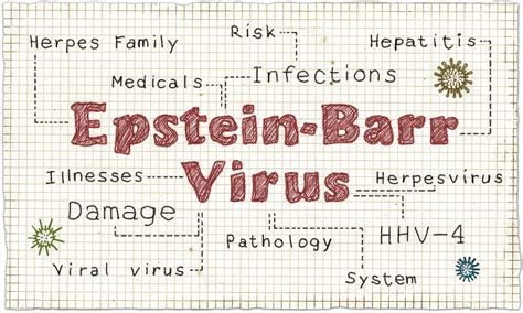 Root Causes of Chronic Fatigue Syndrome: Epstein-Barr Infection