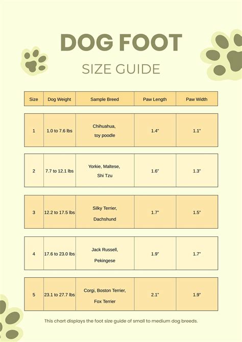 Dog Foot Size Chart in Illustrator, PDF - Download | Template.net