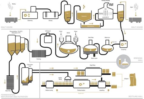 Beer brewing process, Brewing process, Beer brewing