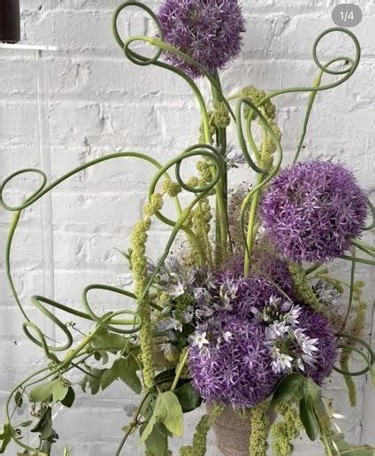 Pin by D'Ara Nazaryan on Floral Design | Garlic flower, Garlic scapes ...