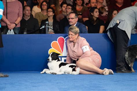 Behind-the-Scene Secrets from the National Dog Show | Reader's Digest