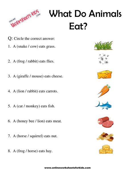 Top 195+ Food habits of animals worksheets - Merkantilaklubben.org