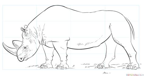 How to draw a realistic rhino | Step by step Drawing tutorials