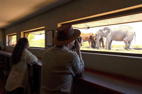 Rhulani Safari Lodge | Activities included in your stay