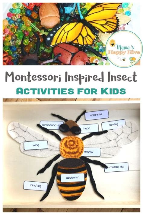 Montessori Inspired Insect Activities for Kids with Printables | Insect ...