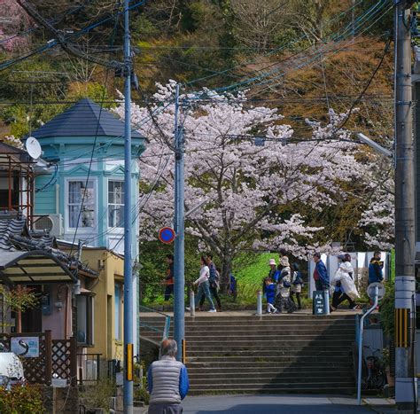 Image of philosopher's path kyoto. — Traverse Japan