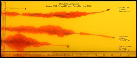 .22 LR for Self Protection: Ammunition Take a look at and Overview ...