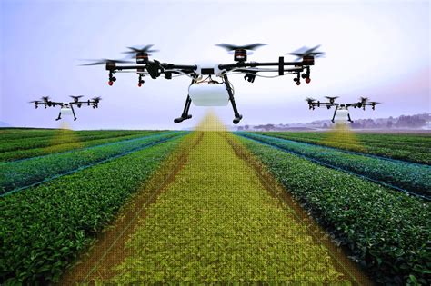 Technology in Agriculture: Can LiDAR Transform Modern Farming? - Blickfeld