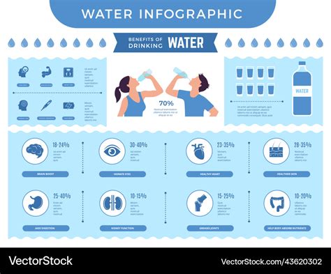 Water infographic benefits of drinking more Vector Image