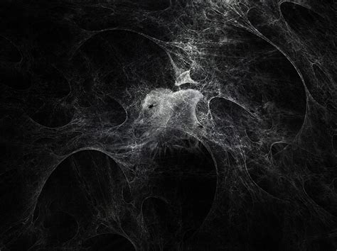 🔥 Download Spider Web Background by @brendah | Spider Web Backgrounds ...