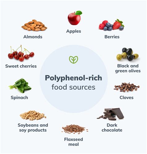 How Polyphenol Rich Foods Play a Role in Hormone Health | Rejuvenate