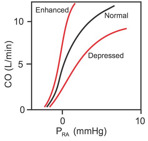 CV Physiology | Cardiac and Systemic Vascular Function Curves