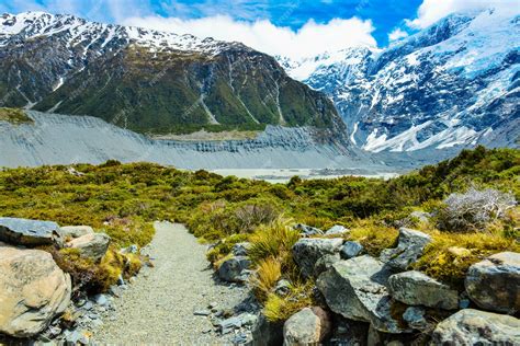 Premium Photo | Beautiful view during walk to glacier in mount cook ...